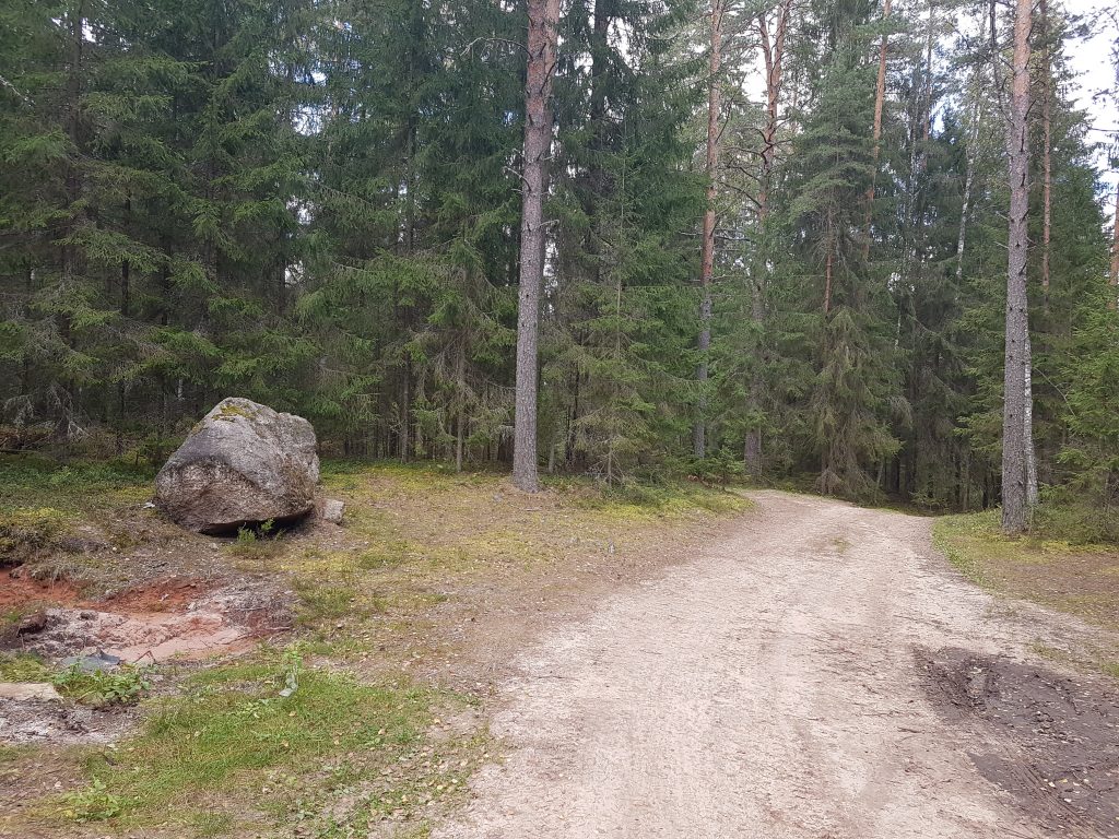 Дорога по лесу
